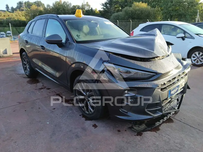 2026 Cupra Other