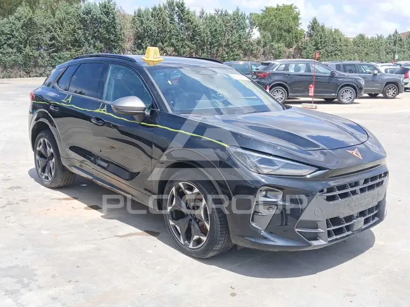 2026 Cupra Other