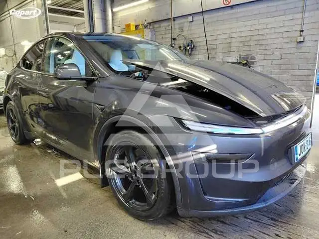 2025 Tesla Model Y