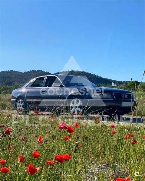 2000 Audi S8