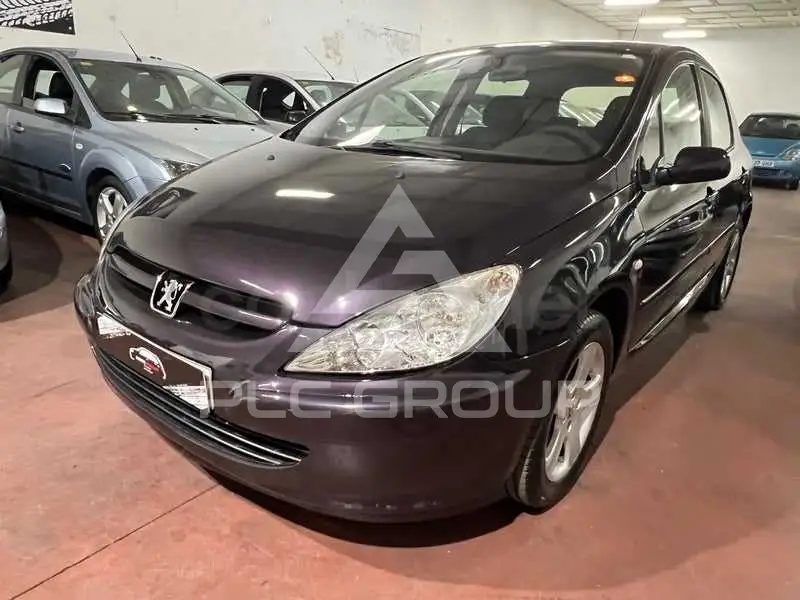 2002 Peugeot 307