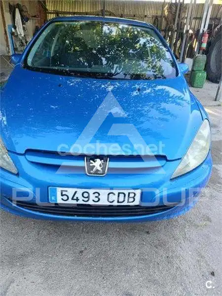 2002 Peugeot 307