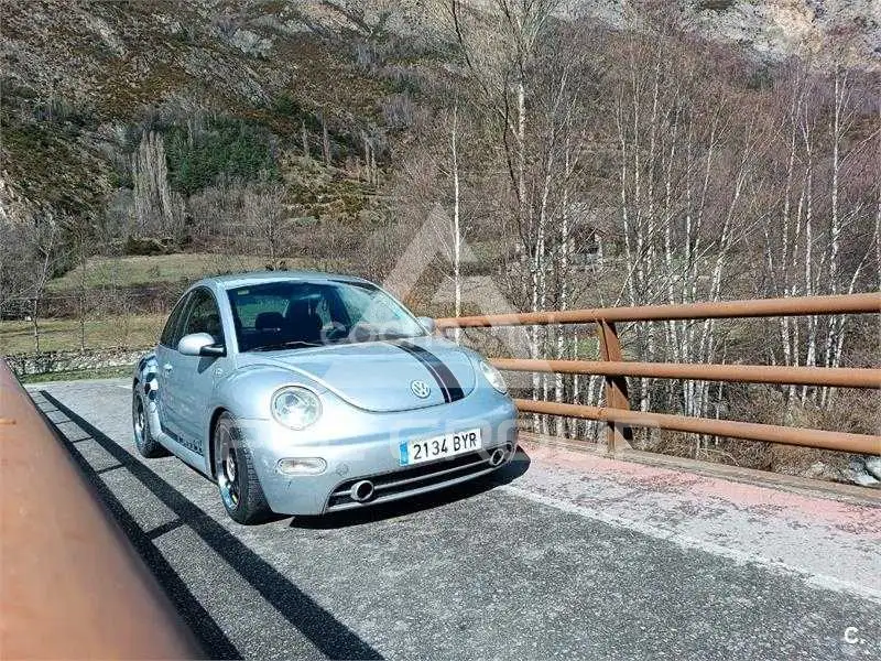 2002 Volkswagen BEETLE