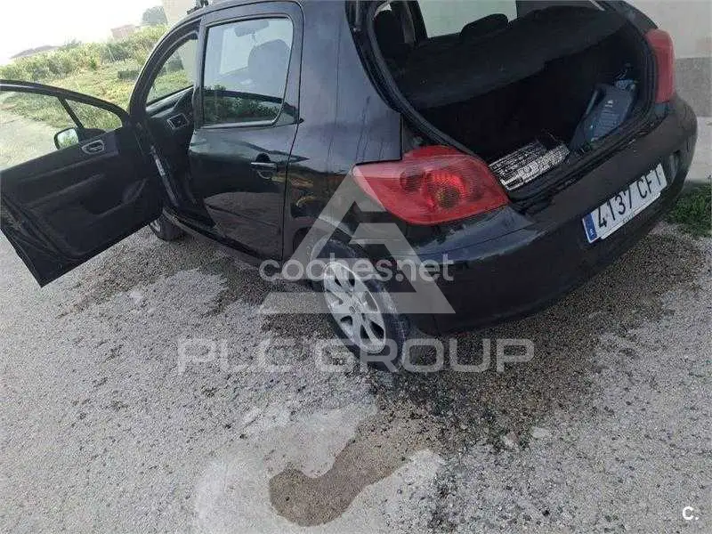2003 Peugeot 307