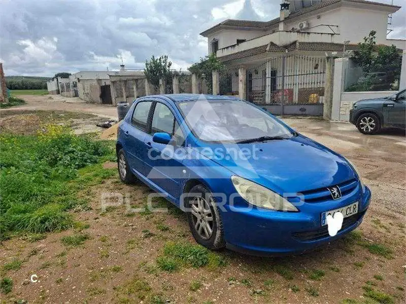 2003 Peugeot 307