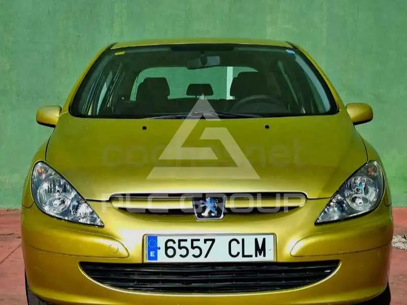 2004 Peugeot 307