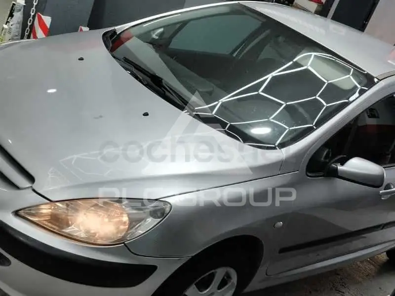 2004 Peugeot 307