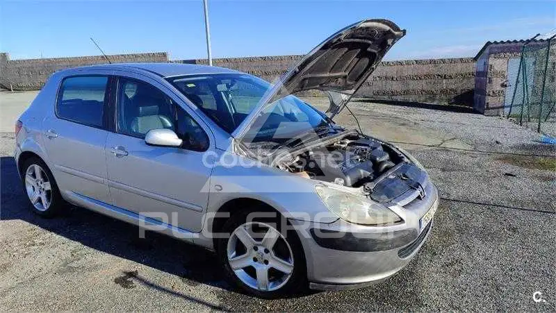 2004 Peugeot 307