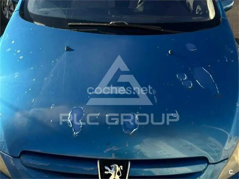 2004 Peugeot 307