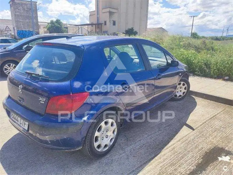 2004 Peugeot 307