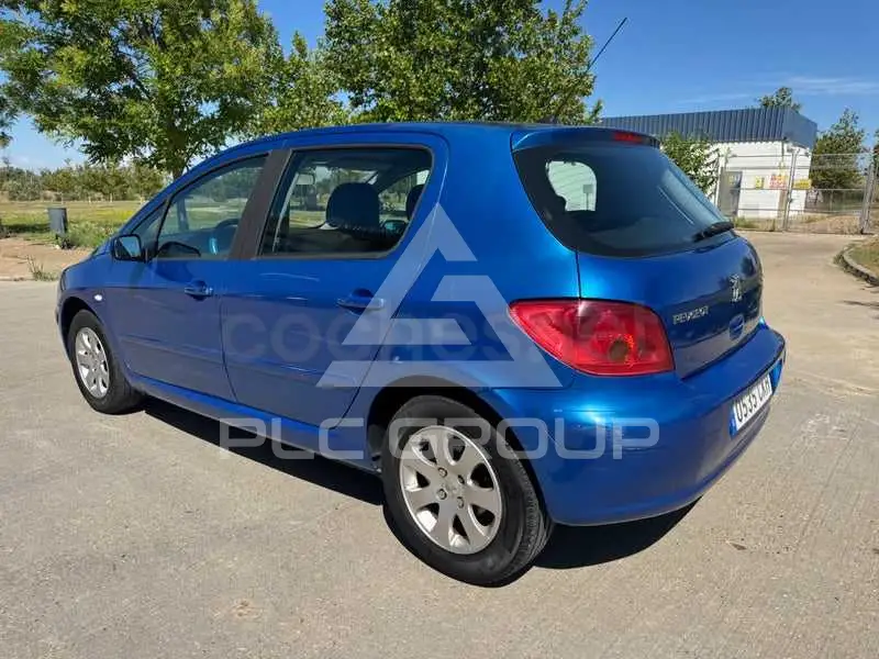 2004 Peugeot 307