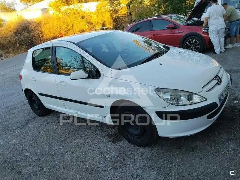 2004 Peugeot 307