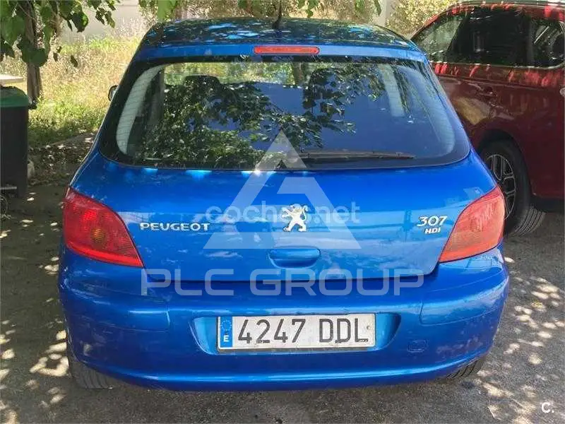 2004 Peugeot 307