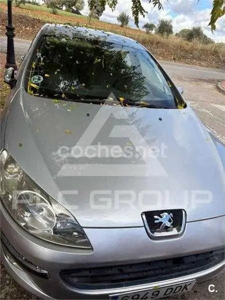 2004 Peugeot 407