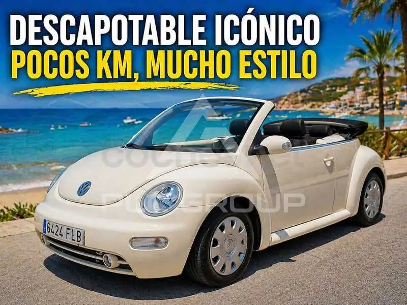 2004 Volkswagen BEETLE