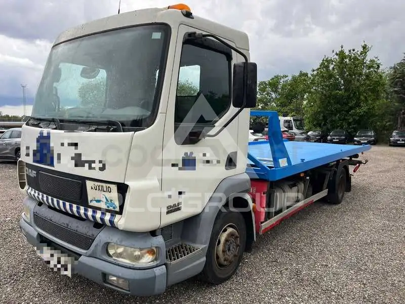 2005 DAF 