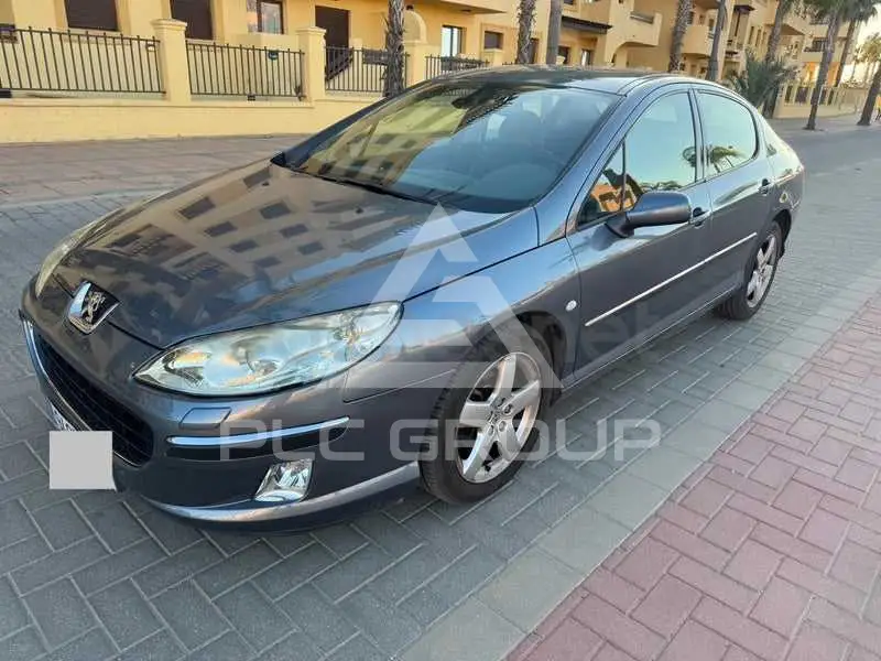 2005 Peugeot 407