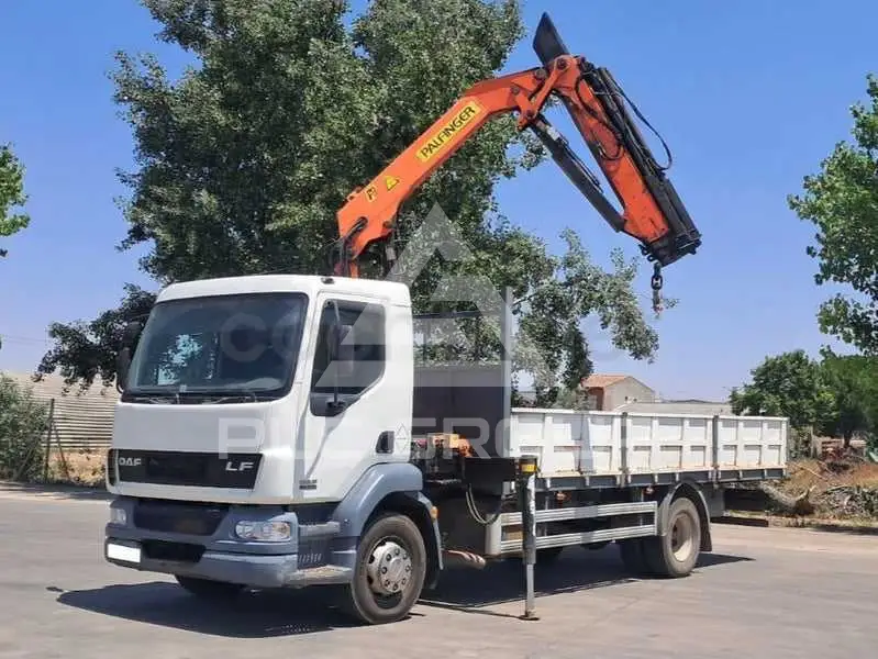 2006 DAF 