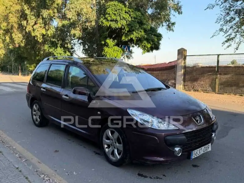 2006 Peugeot 307