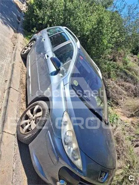2006 Peugeot 307