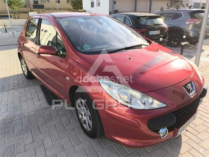 2006 Peugeot 307