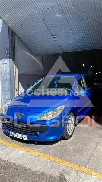 2006 Peugeot 307
