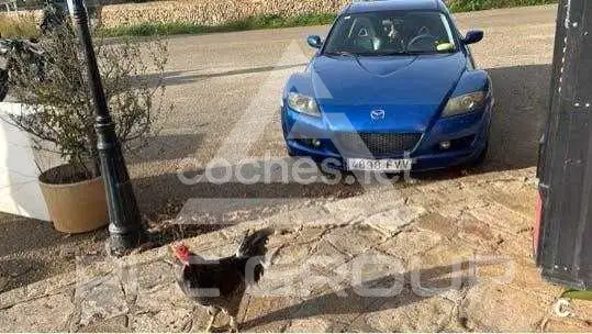2007 Mazda RX-8