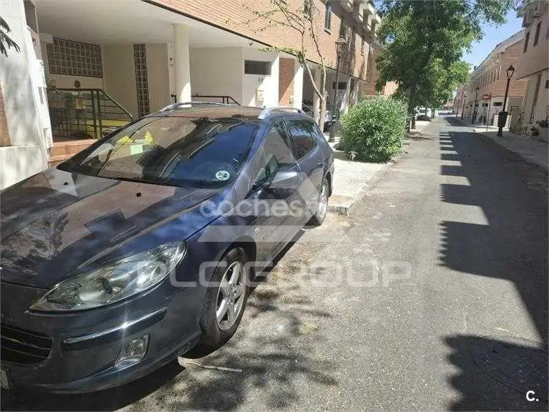 2007 Peugeot 407