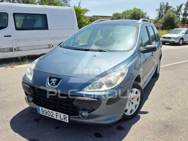 2007 Peugeot 307