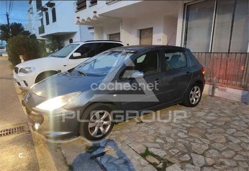 2007 Peugeot 307