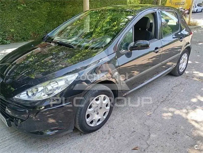 2007 Peugeot 307