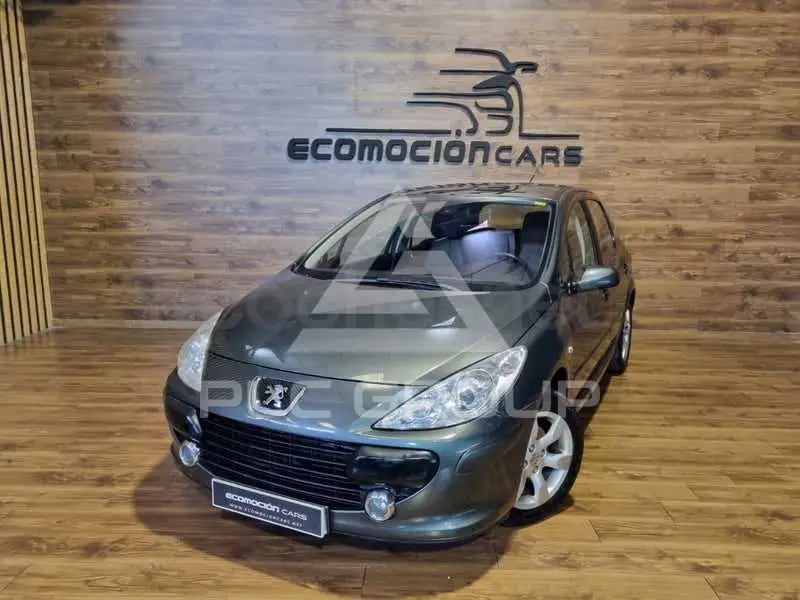 2007 Peugeot 307