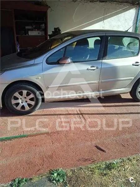 2007 Peugeot 307