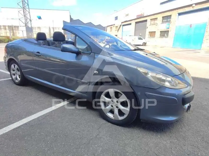 2007 Peugeot 307