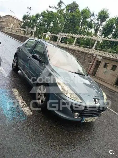 2007 Peugeot 307