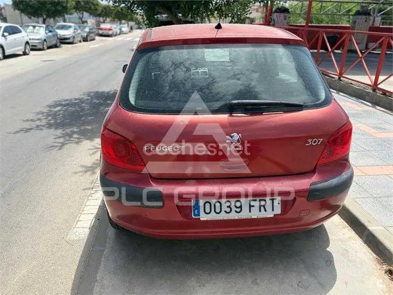 2007 Peugeot 307