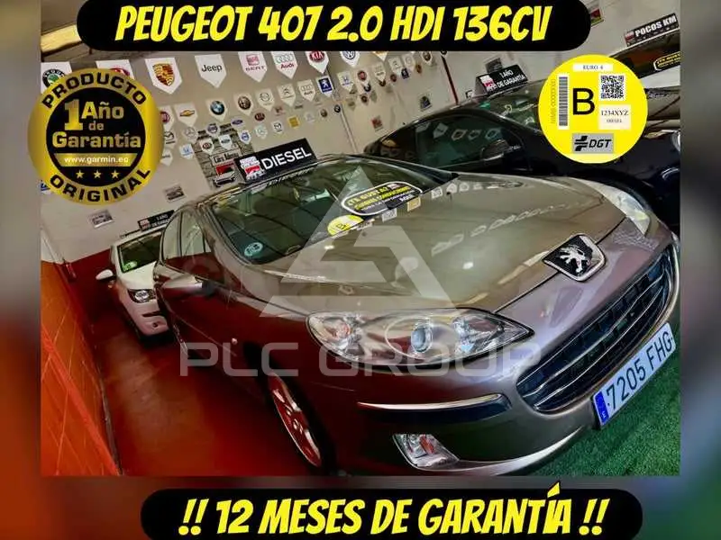 2007 Peugeot 407