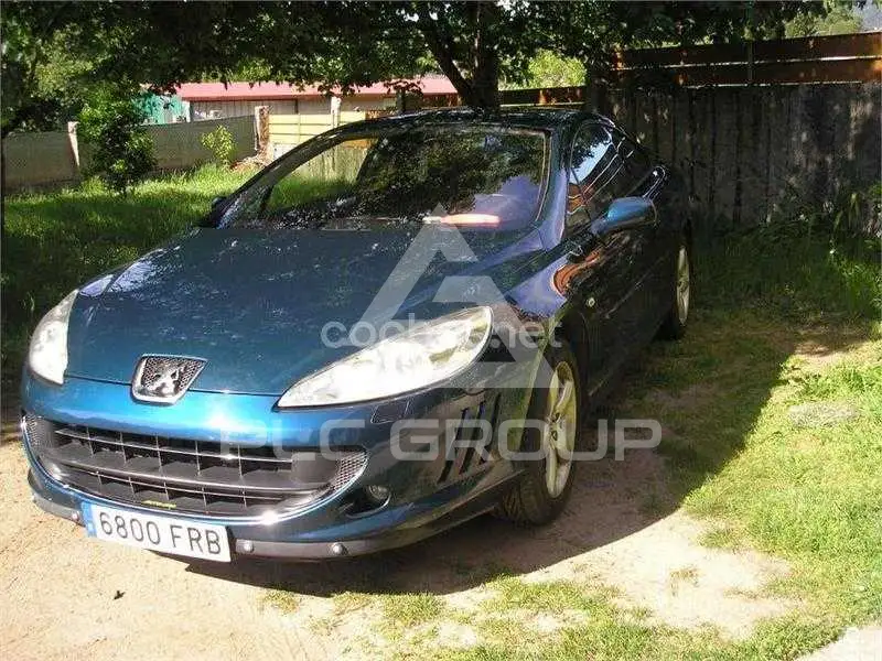 2007 Peugeot 407
