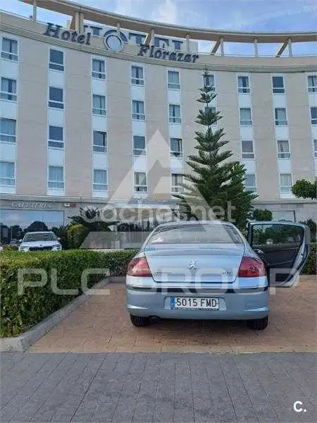 2007 Peugeot 407