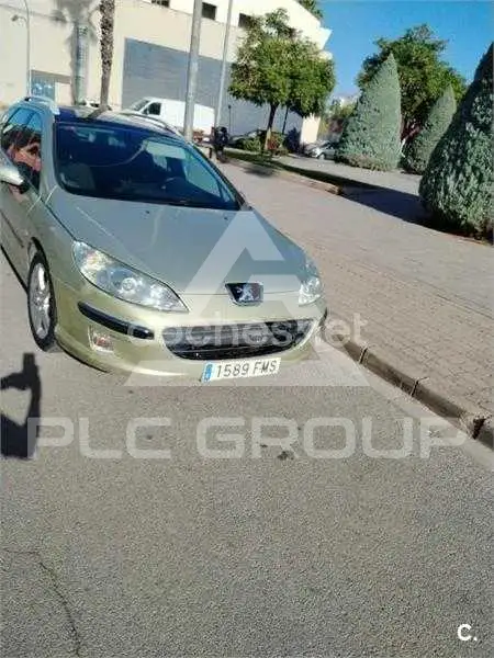 2007 Peugeot 407