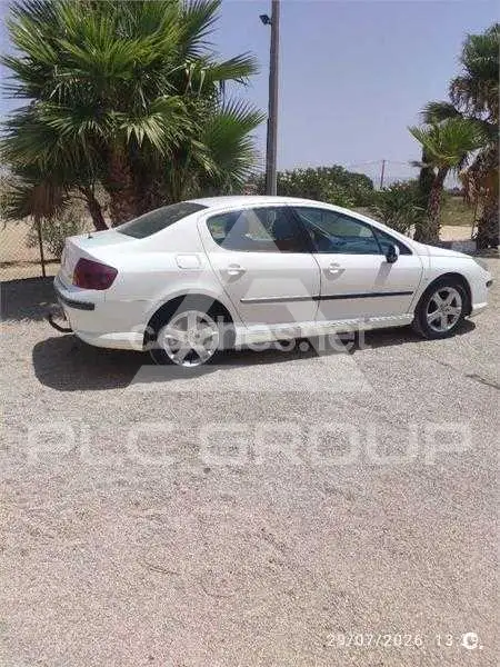 2007 Peugeot 407