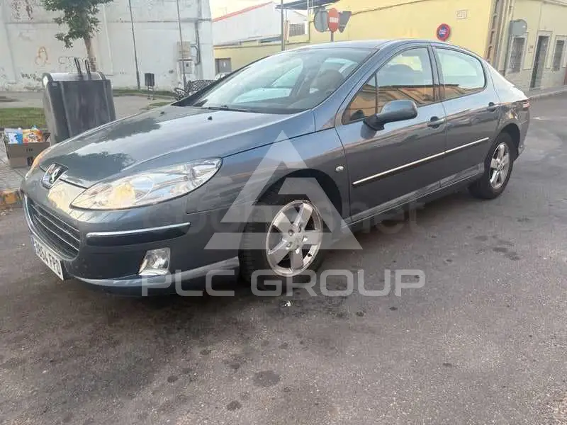 2007 Peugeot 407