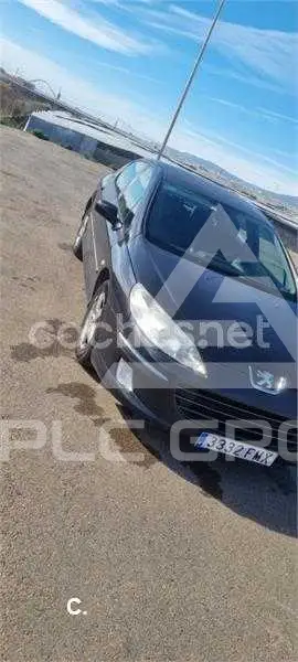 2007 Peugeot 407