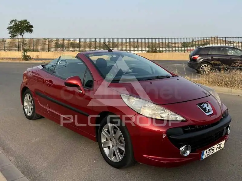 2007 Peugeot 207