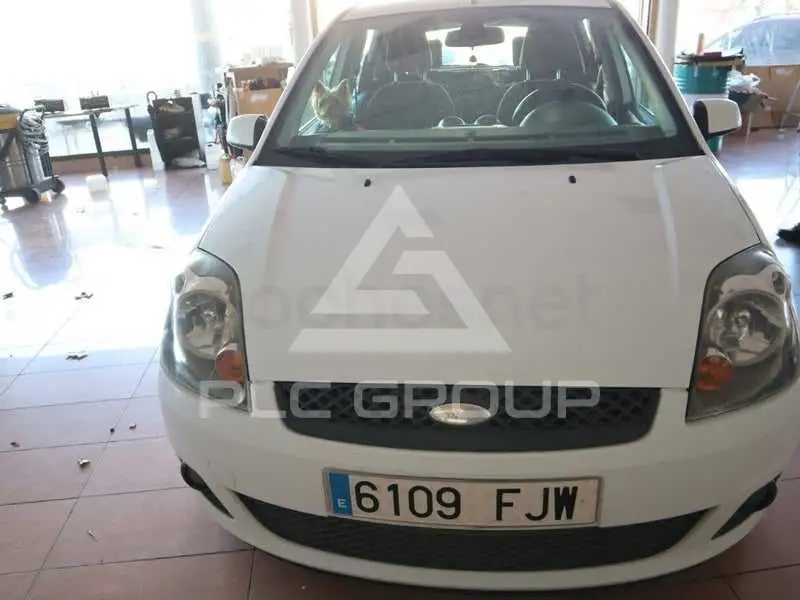 2007 Ford FIESTA