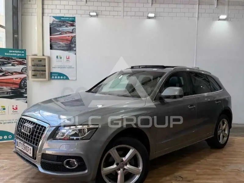 2009 Audi Q5