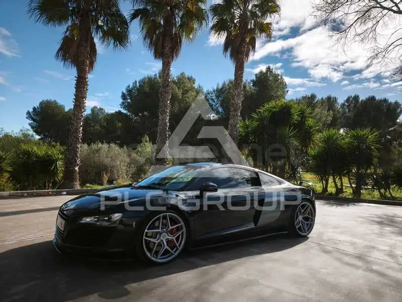 2009 Audi R8