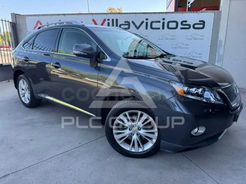 2009 Lexus RX