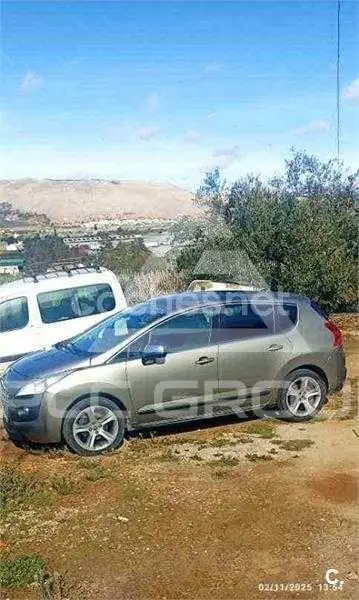2009 Peugeot 3008