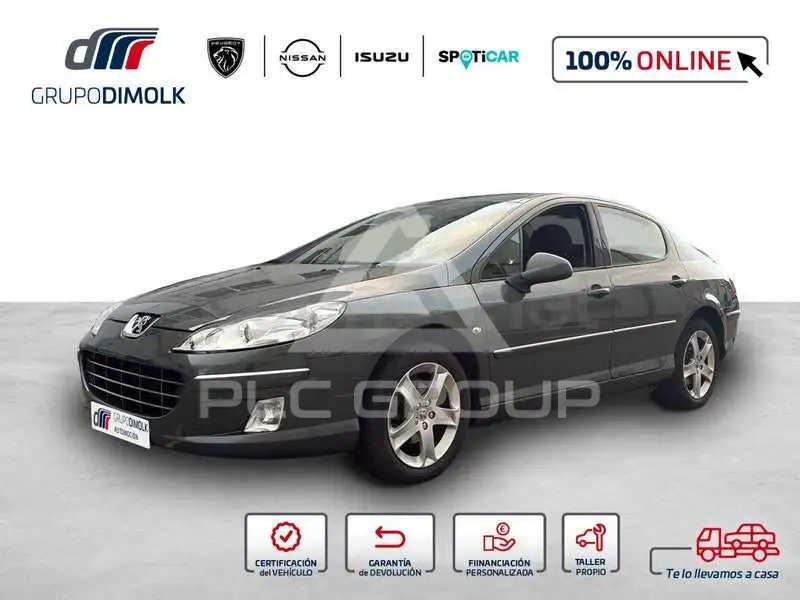 2009 Peugeot 407